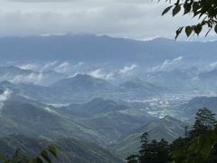 -天目山大树王景区