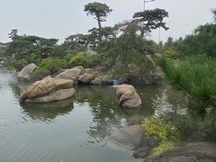 -罗红摄影艺术馆