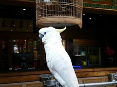 -那家小馆•北京菜•烤鸭(香山店)