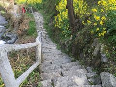 -灵山景区梯田