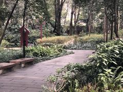 -成都市活水公园