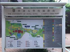 -香港大学