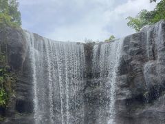 -新加坡飞禽公园
