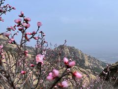 -北京凤凰岭