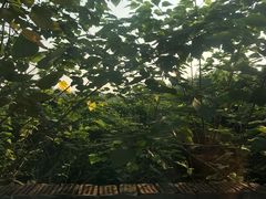 -盒马鲜生(莱蒙都会店)