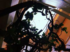 -纳地素食(石门公园店)