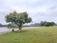 -南宁花花大世界景区