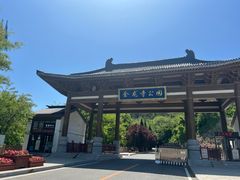 -金龙寺国家森林公园