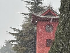 -洛阳白马寺