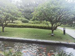 -南宁荔园维景国际酒店·荔园中餐厅