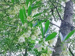 -人民公园(罗湖区)