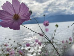 -大理洱海