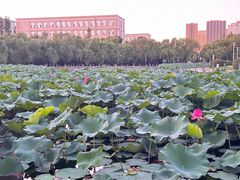 -哈尔滨师范大学(松北校区)