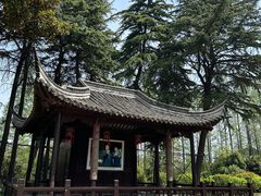 -梅园
