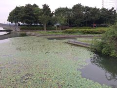 -蠡湖大桥公园