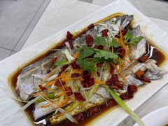 -人和啤酒屋海鲜大排档(营口路店)