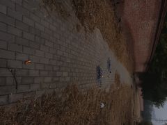 -东坝千亩湖公园