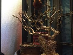 -渔家灯火(明湖店)