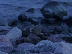 -深圳湾公园(南山区)