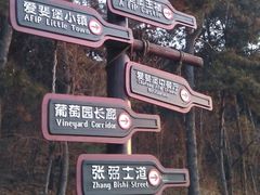 -北京张裕爱斐堡酒庄