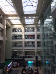 -首都医科大学附属北京儿童医院