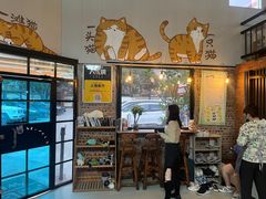 -豆逗聊愈猫阁Easy Life