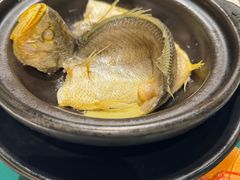 -菉雅苑·湛江菜(前海卓越INTOWN店)