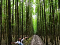 -山王坪喀斯特国家生态公园
