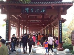 -重庆彩云湖湿地公园