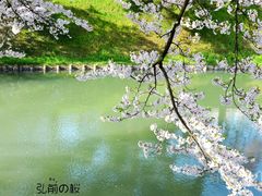 -富田农场