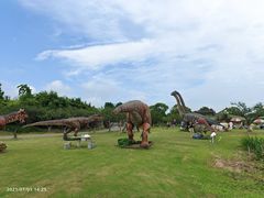 -上海海湾国家森林公园