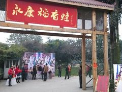 android_upload_pic-永康森林公园