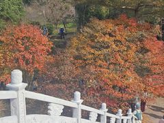 -田野绿世界
