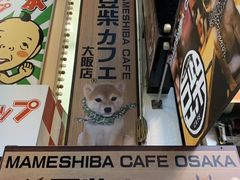 -心斋桥