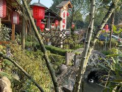 -青城甲(青城山店)