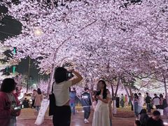 -西北湖绿化广场