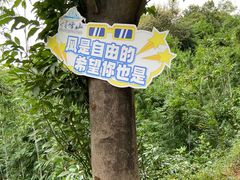 -广州市帽峰山景区