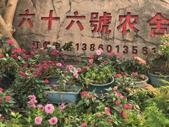 -杨厝六十六农庄农舍(杨厝路店)