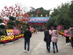 -白云山风景名胜区