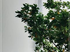 -海珠湖公园