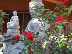 -福州开元寺
