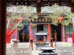 -藏山旅游风景区