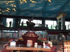 -鹅城