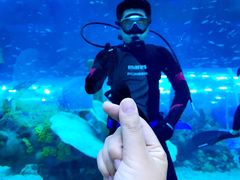 -上海海昌海洋公园