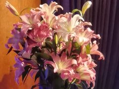 -大董(阜成路店)