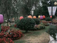 -荷兰花海