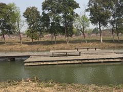 -梁鸿国家湿地公园