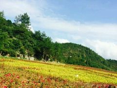 -重庆云阳龙缸景区