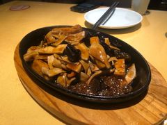 -素虎小呆鸟(西二旗店)