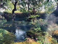 -Chom Cafe and Restaurant